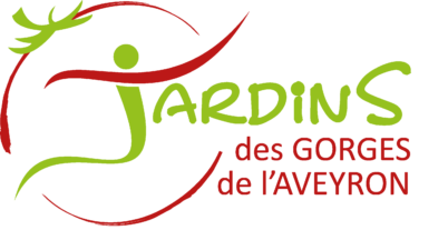 Illustration de « Donnez du sens à vos légumes »